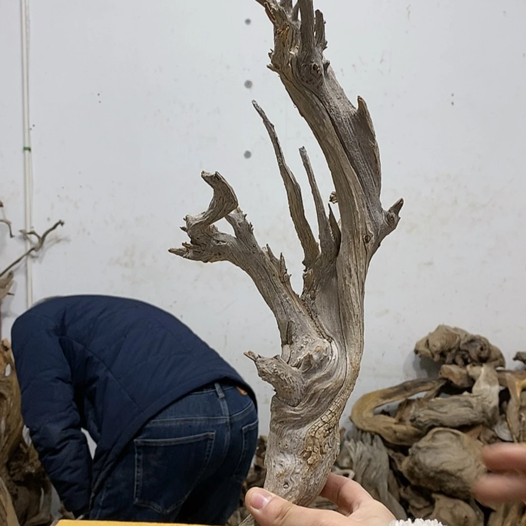 【闪购商品】柏木毛****叔