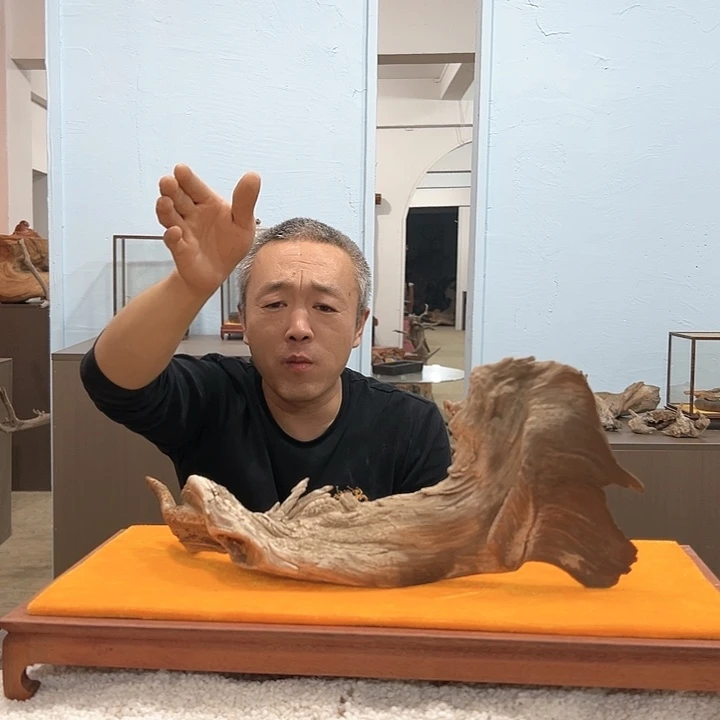 柏木头**桑转了给你电话吧哈