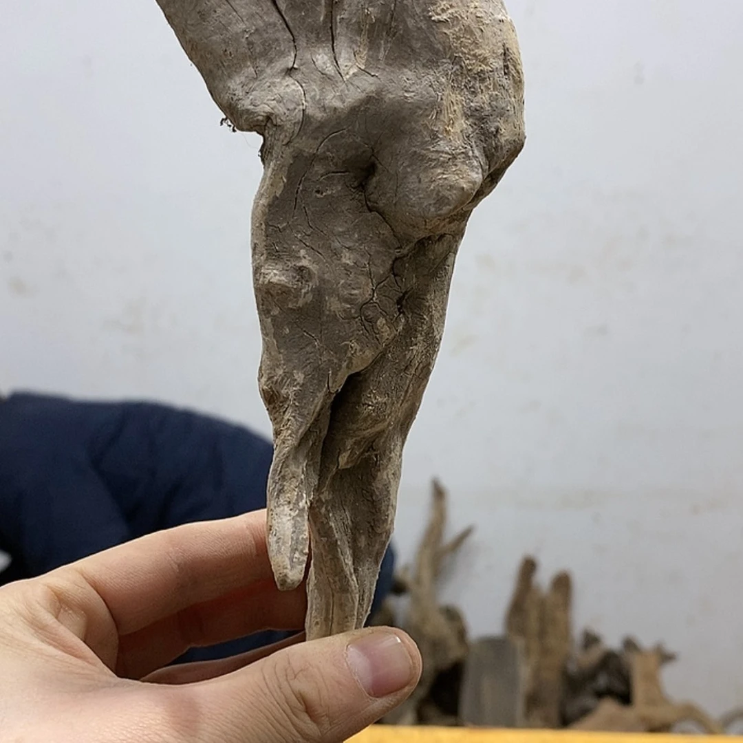 【闪购商品】柏木木****馆