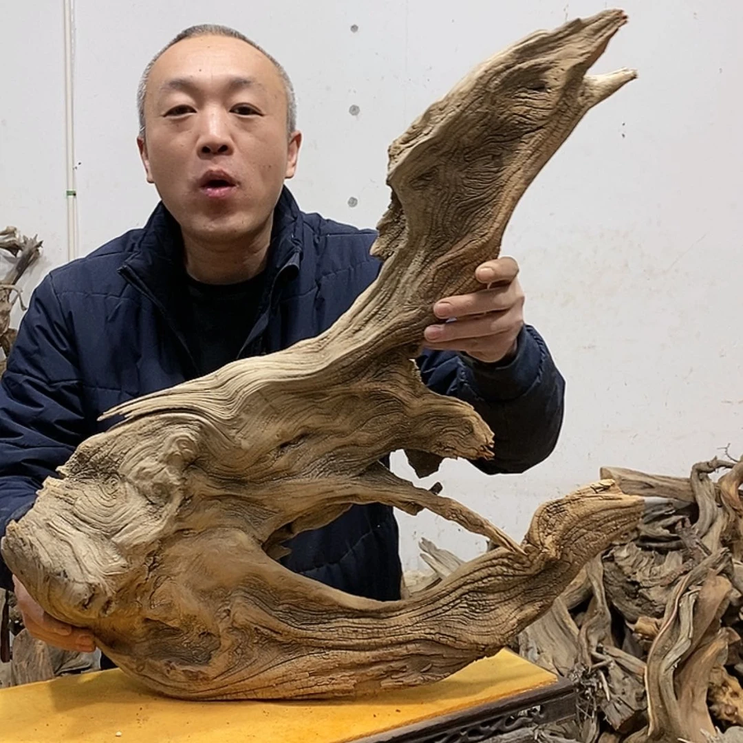 【闪购商品】柏木绝**闹