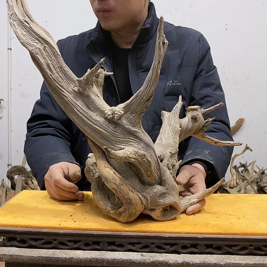 【闪购商品】柏木龙***工