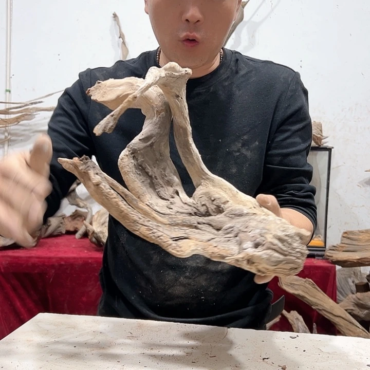 柏木一**友我们的生活是以