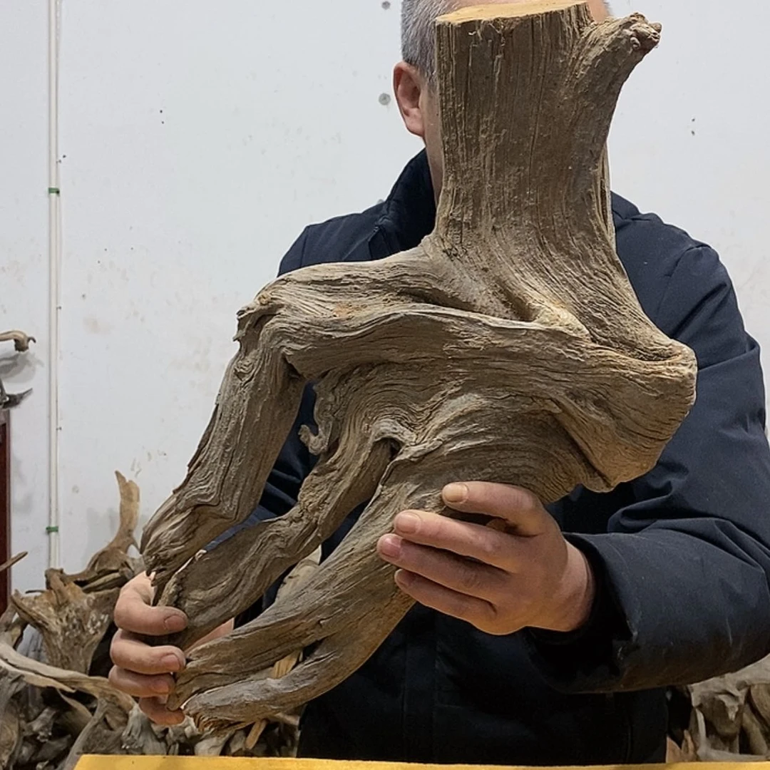 【闪购商品】柏木禹*