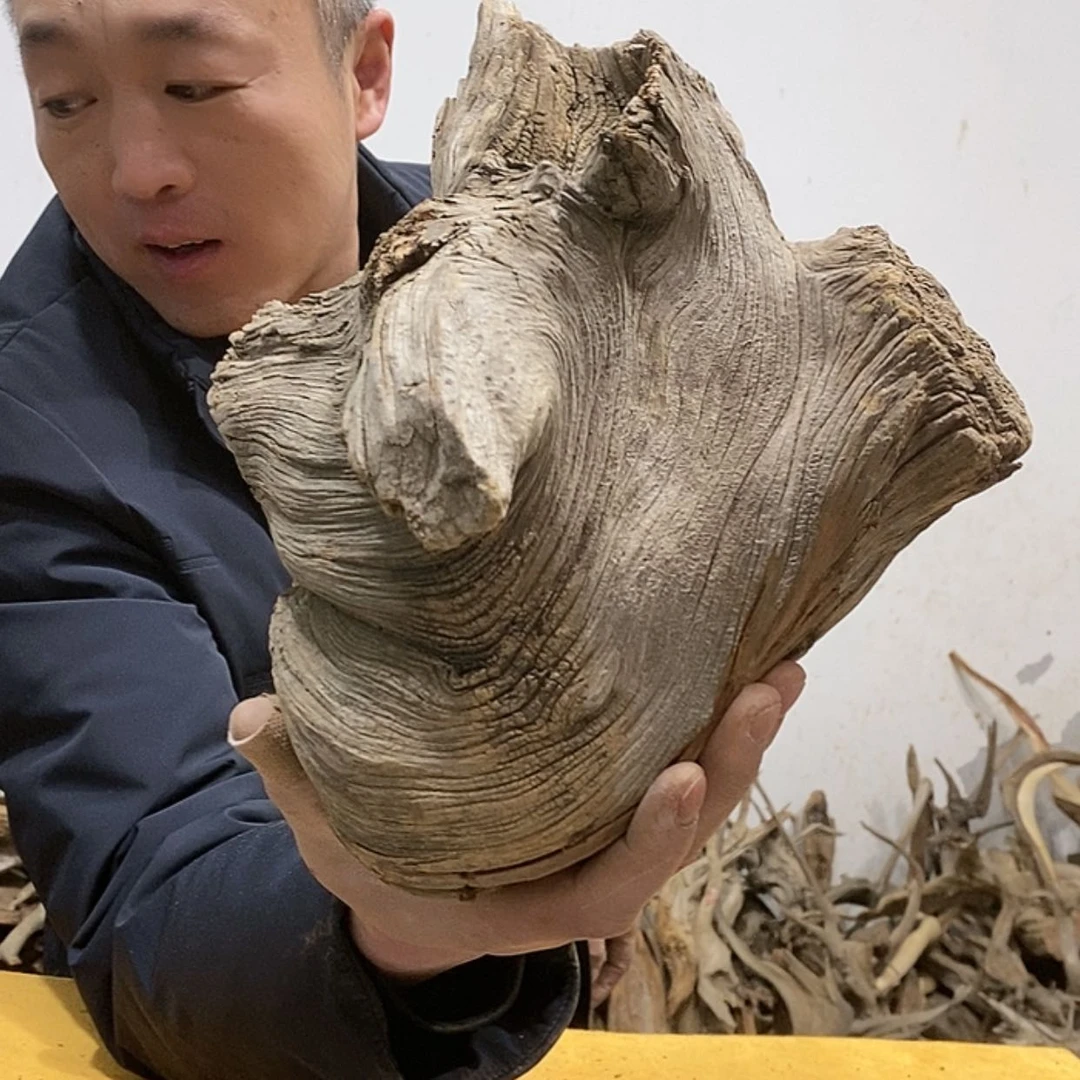 【闪购商品】柏木江*