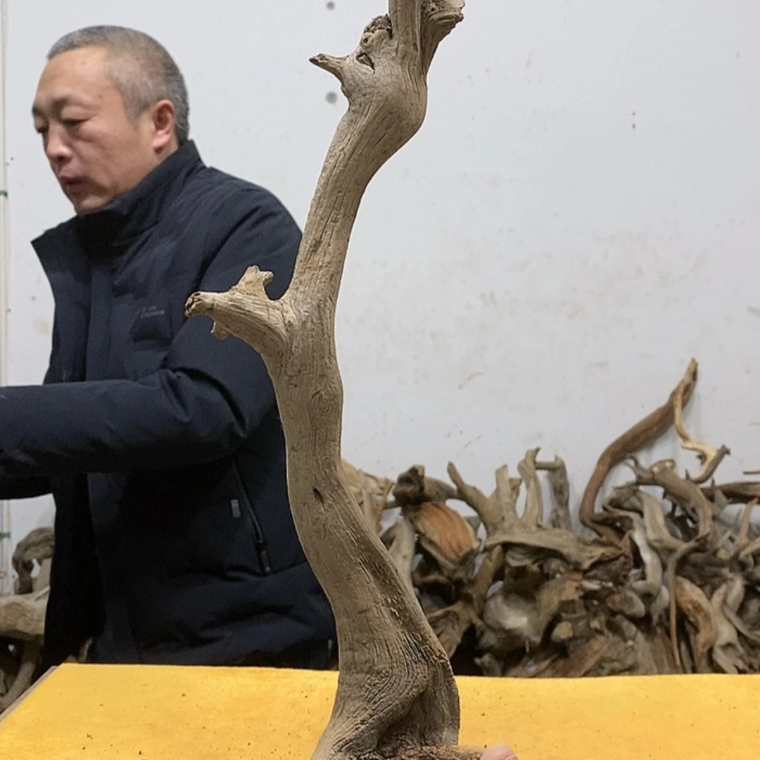 【闪购商品】柏木岩**日