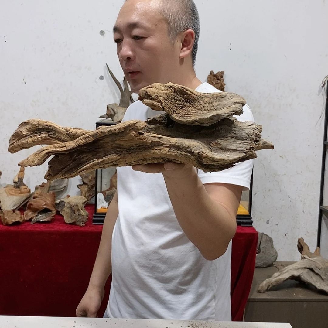 【闪购商品】柏木平****9清清浅浅一笑是