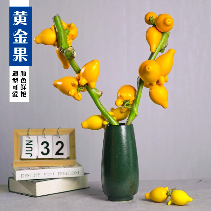 五代同堂黄金果长寿福禄家庭办公室花卉基地现货发货好养易活