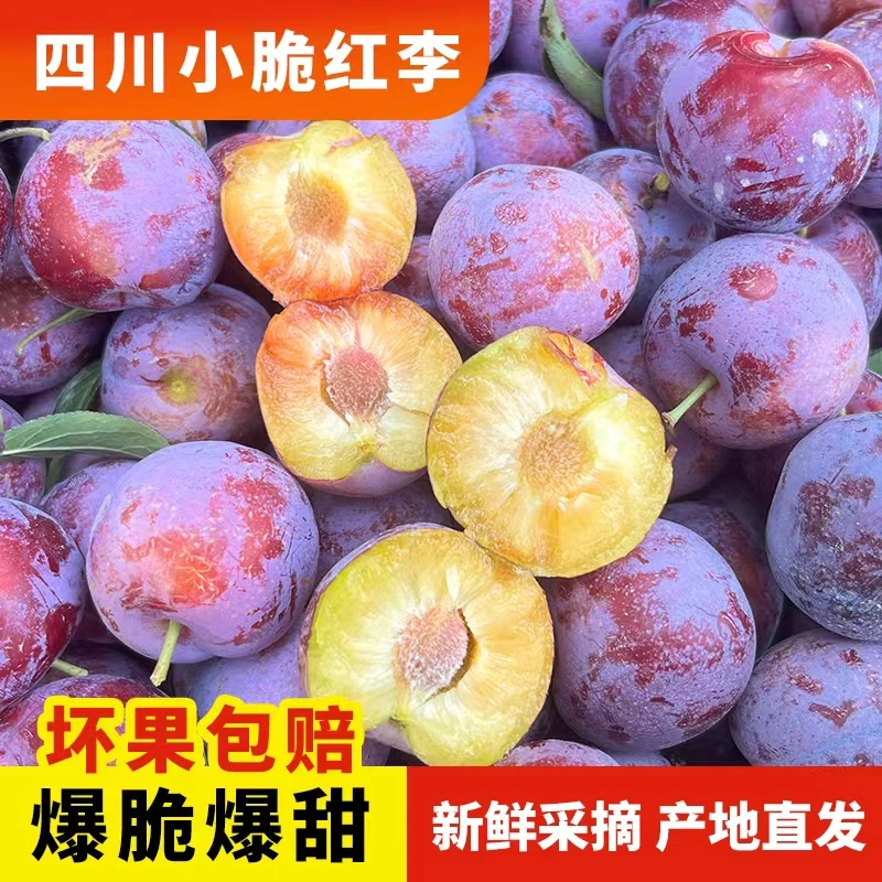 【坏果包赔】四川新鲜高山脆红脱骨李新鲜应季孕妇水果脆甜李子包邮
