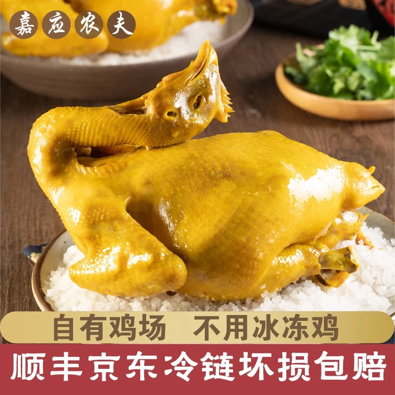 嘉应农夫 活鸡现宰现杀盐焗鸡   梅州正宗客家特产  自家农场土鸡