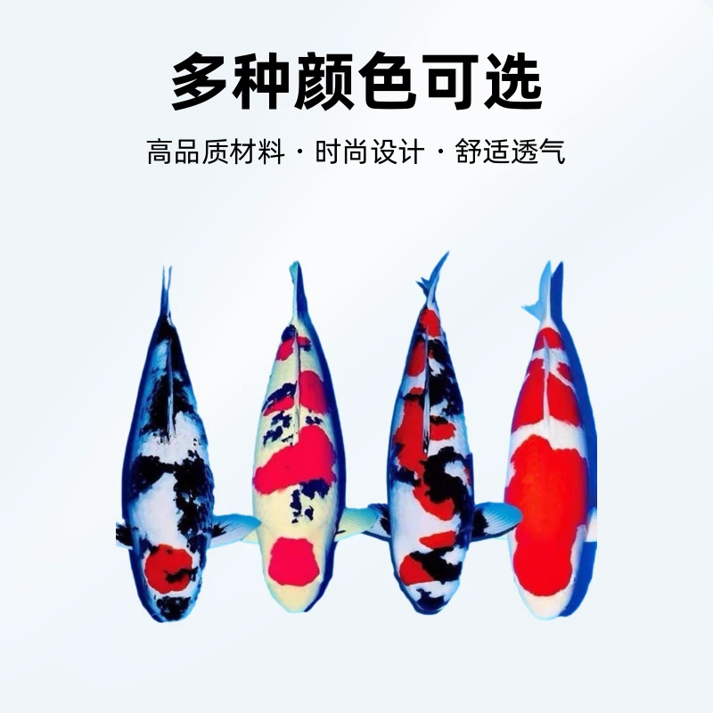 纯种进口锦鲤火鲤日本红白三色丹顶白写昭和高端锦鲤鱼池观赏鱼大