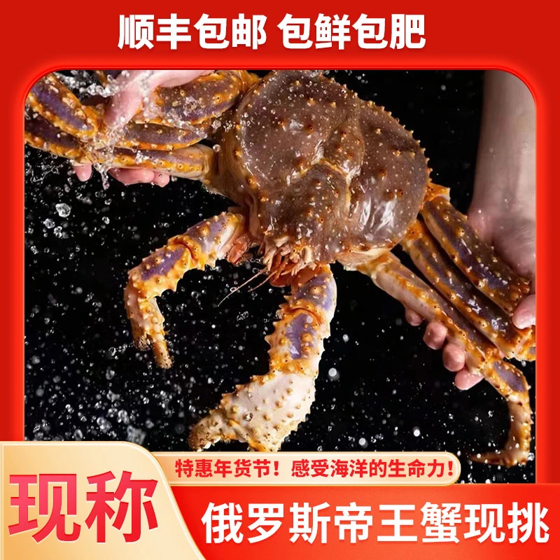 【液氮冷冻】俄罗斯生冻帝王蟹4-8斤 新鲜速冻 包鲜包肥包售后B