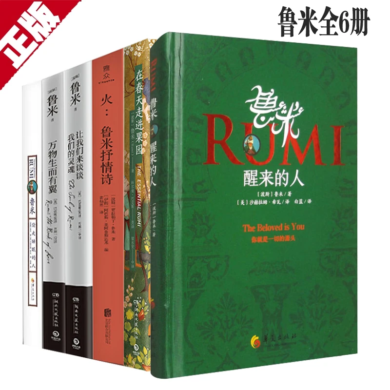 【正版||6册装】鲁米诗集6册 鲁米抒情诗 火 偷走睡眠的人 醒来的人