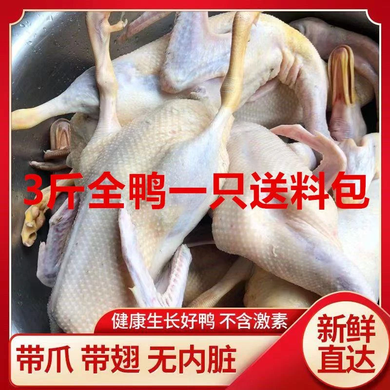 全鸭农家散养土鸭子优质水养鸭子整只土鸭新鲜现杀鸭肉批发冷冻