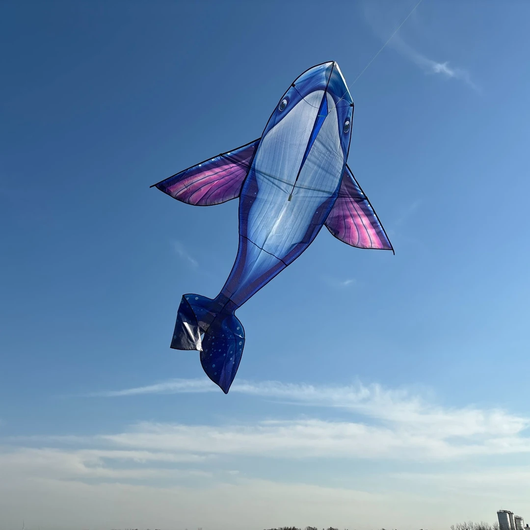 潍坊风筝户外运动飞行航模风筝轮成人童玩具微风易飞鲸鱼大型鲲鹏
