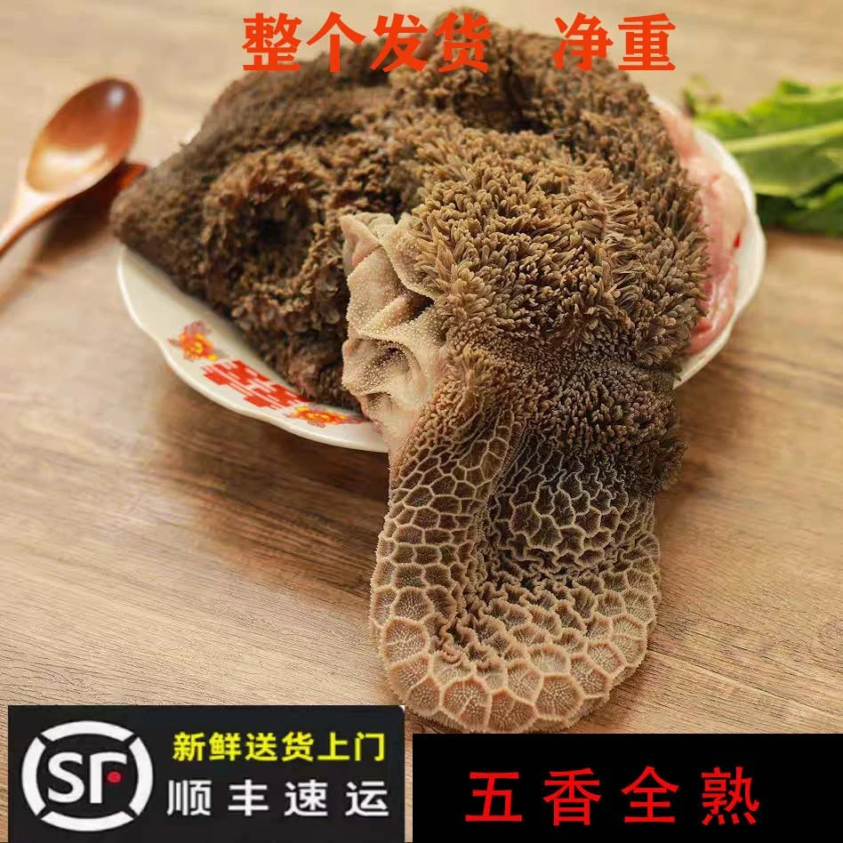 （拍3送2）新鲜生羊肚山羊毛肚整个发货顺丰
