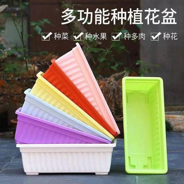 彩色种菜花盆4个送托盘（长43宽19高14）