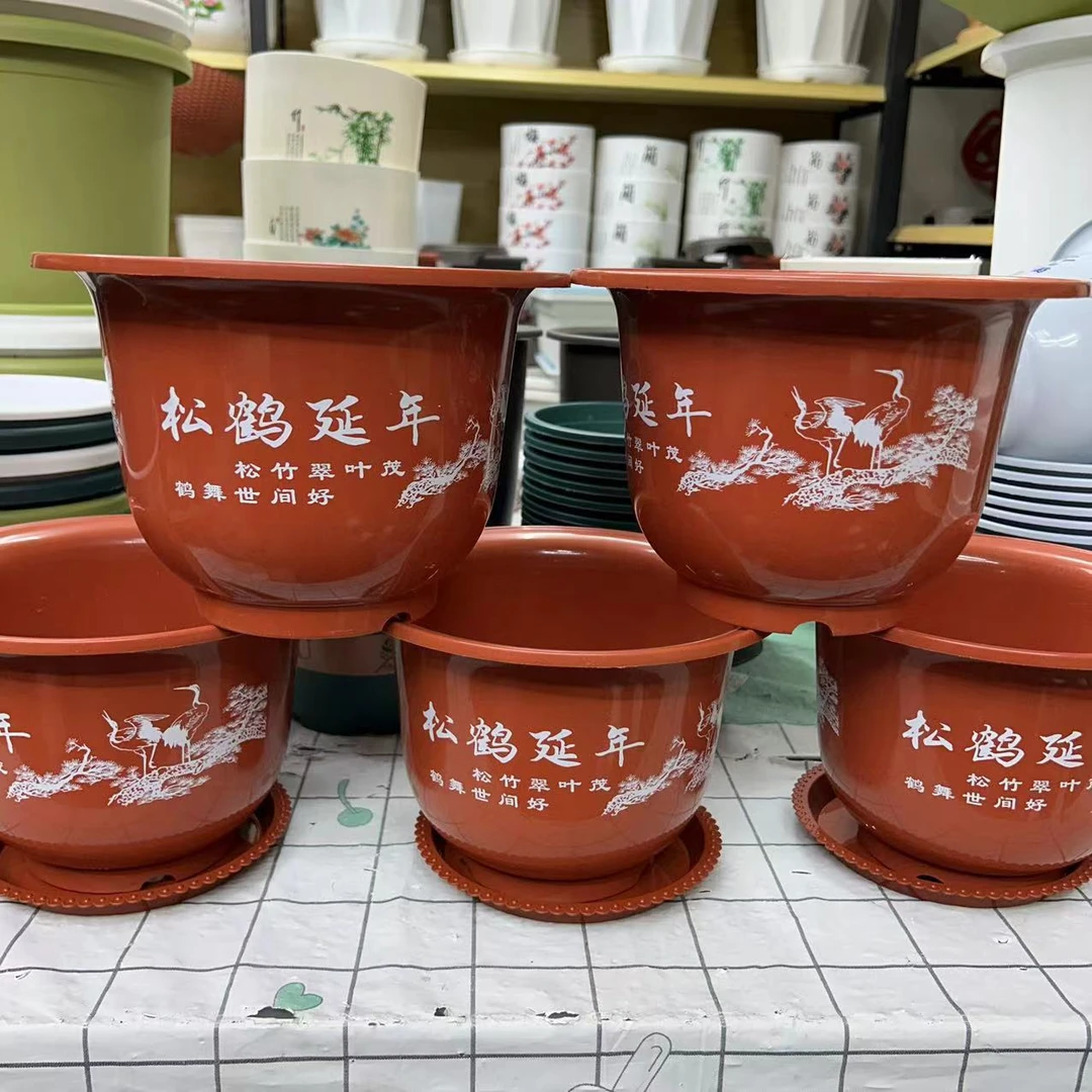 红松鹤250花盆5个带托盘（口径21.5高15左右）