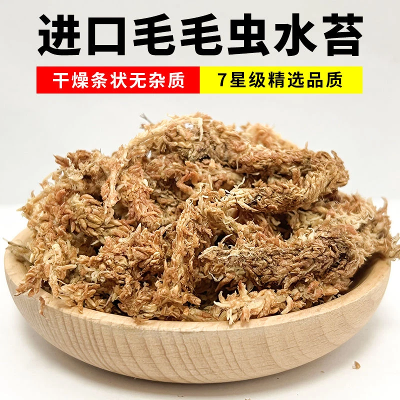 智利进口水苔毛毛虫水苔藓蝴蝶兰兰花土食虫植物乌龟冬眠保湿包邮