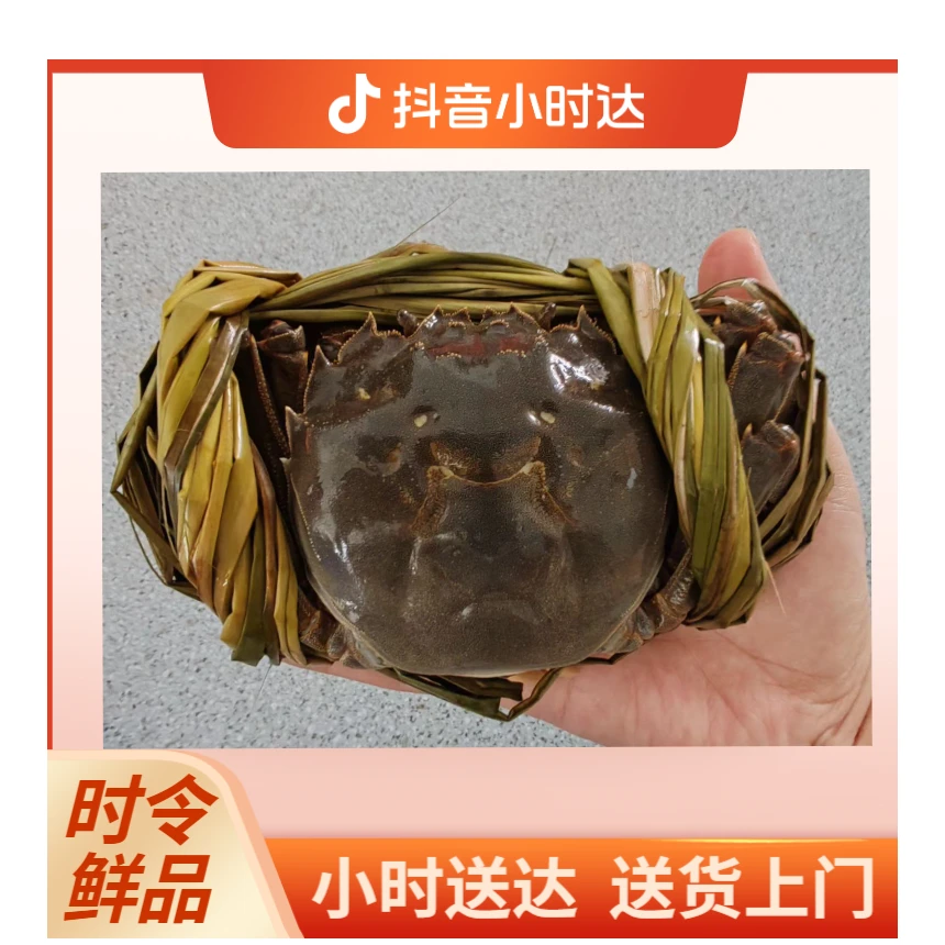 【保鲜活到家】2两半左右精品母蟹品尝价