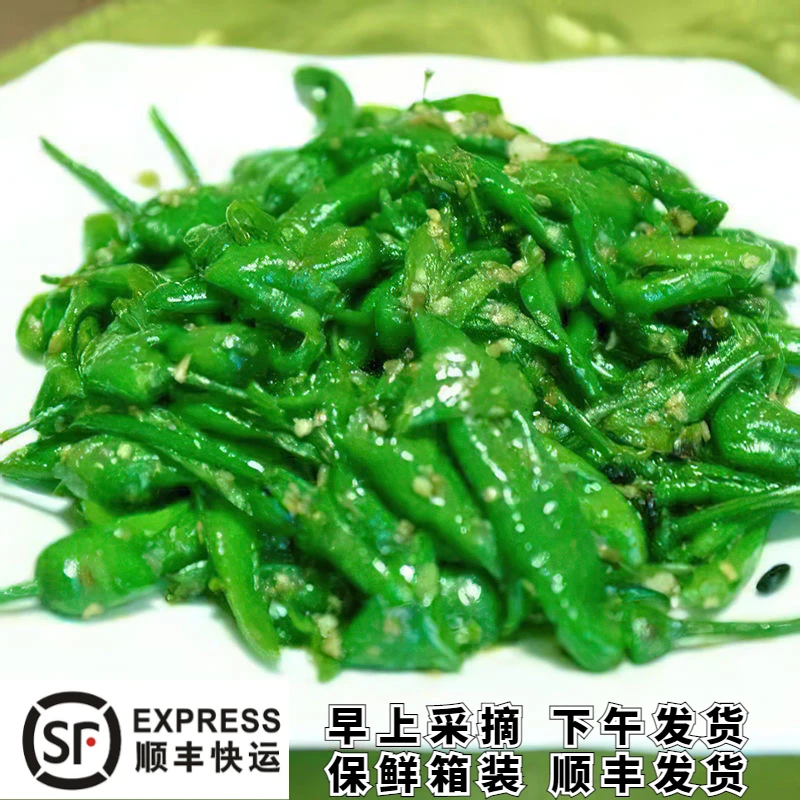 樟树薄皮青椒农家自种湖南品种微辣香辣椒现摘新鲜软糯做虎皮辣椒