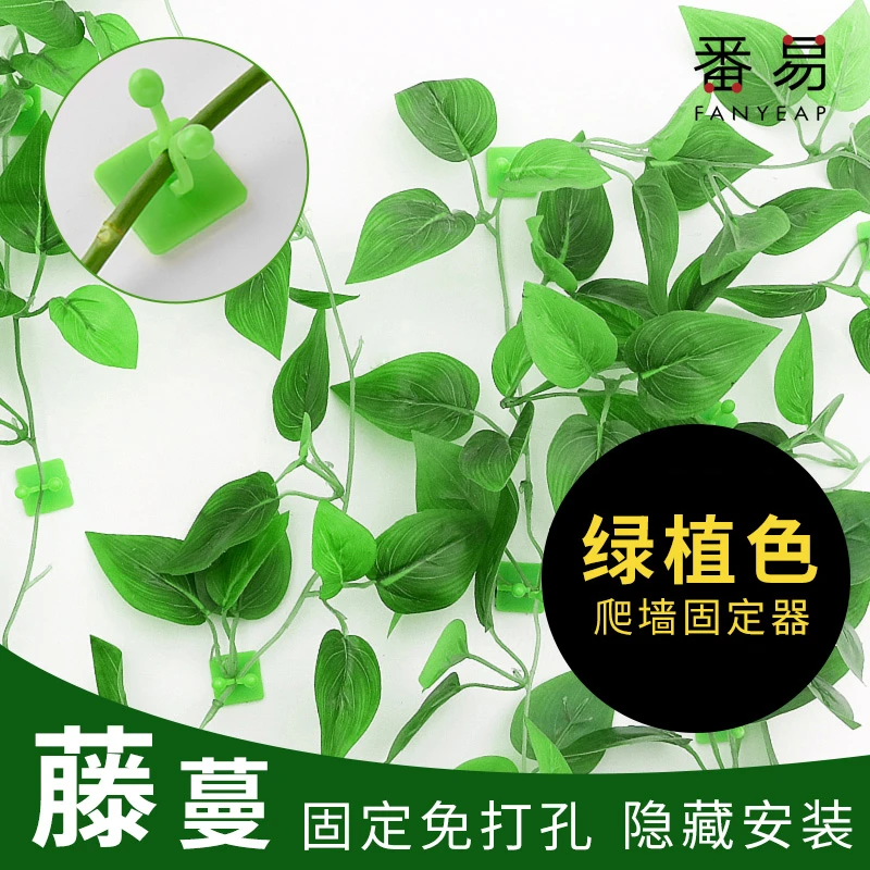 绿萝固定器A1ZO20羿-绿萝固定器家养绿植自粘式室内客厅家用攀