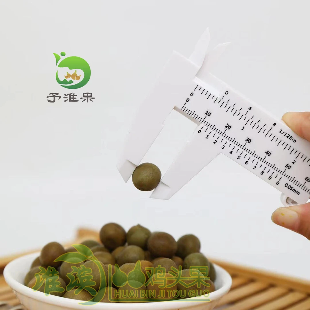新鲜鸡头果自产自销2500克