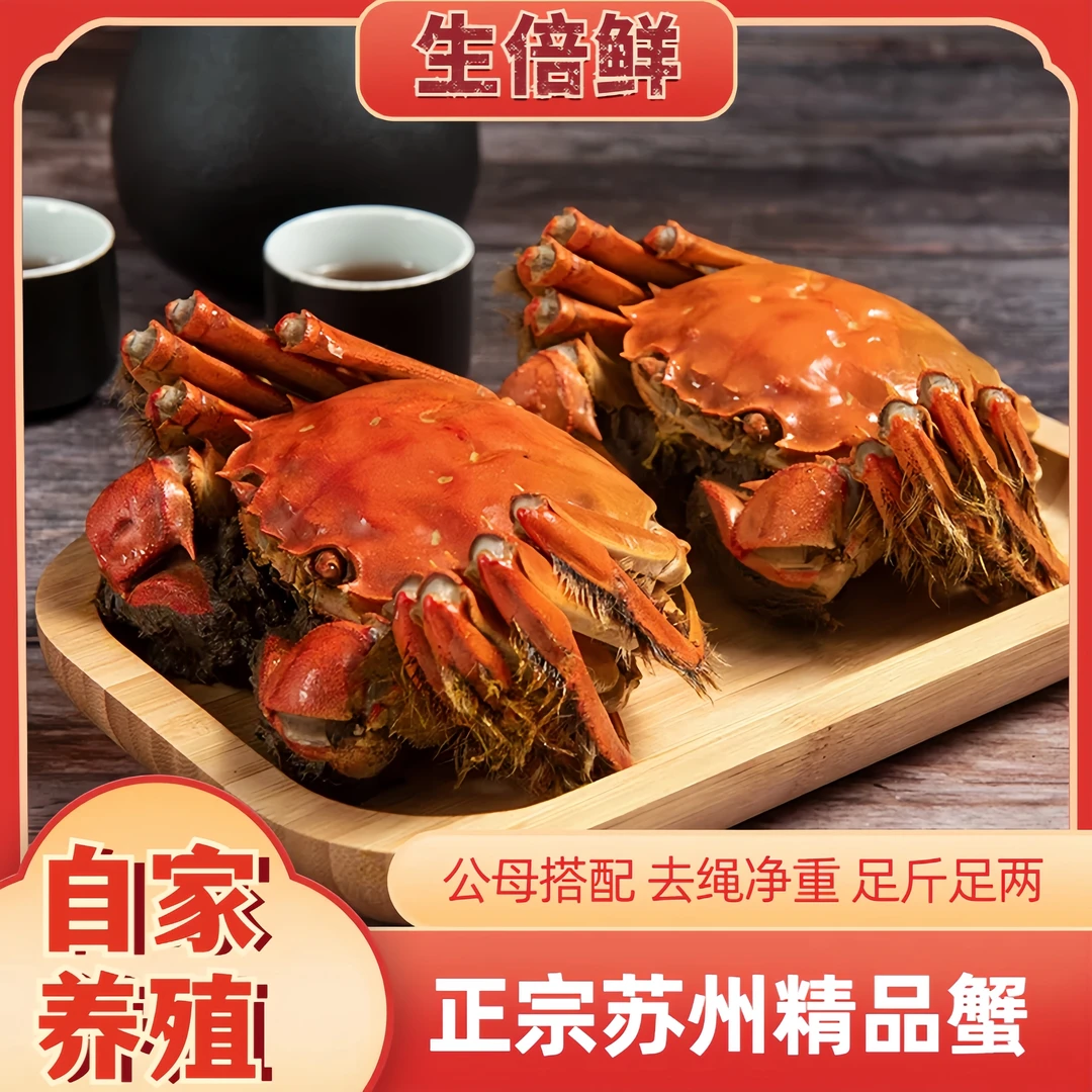 【活蟹】苏州精品大闸蟹全母蟹3.0-2.7两加赠2只-5对