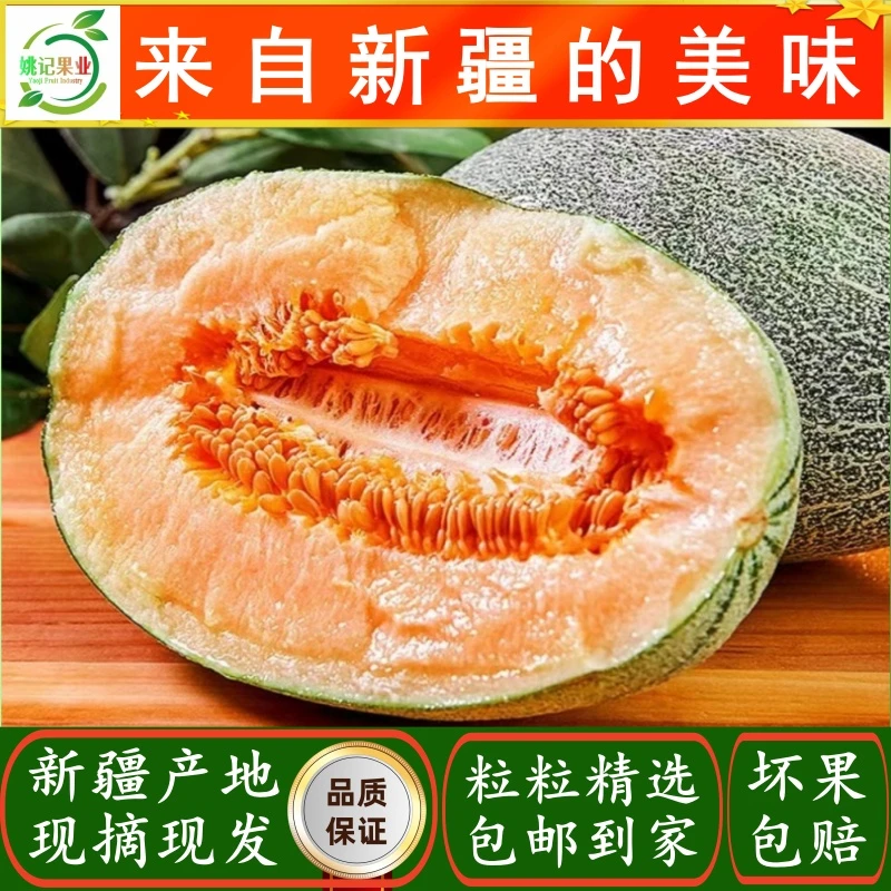 新疆哈密瓜可口脆甘甜爽口产地发货包邮到家坏果包赔新鲜采摘