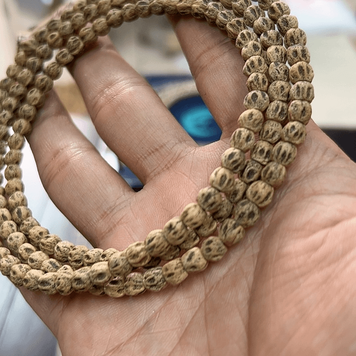 柏香籽/百香籽手串805号5+6原阿呆树王顶