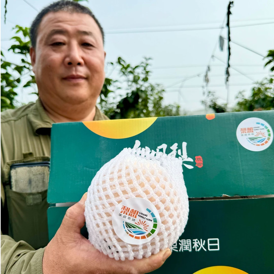 梨想农场|正宗烟台 秋月梨 脆甜多汁 精美礼盒装 产地直发 【包邮】
