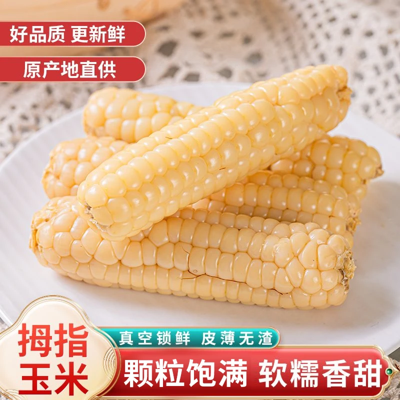云南西双版纳小拇指玉米真空包装即食代餐袖珍拇指糯玉米500g鲜甜