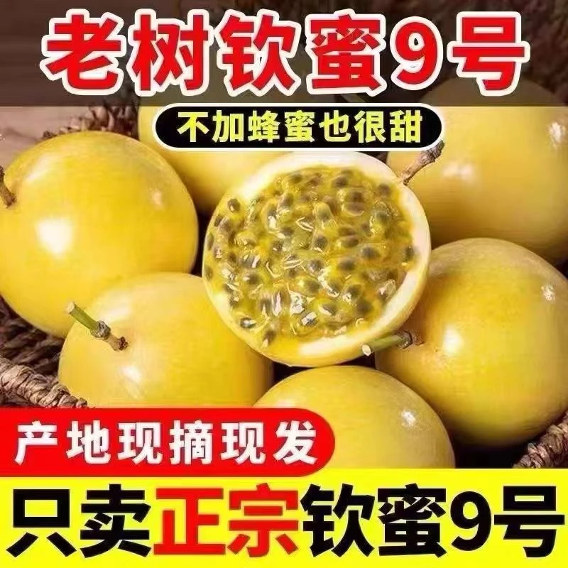 广西正宗钦密9号黄金百香果新鲜水果批发整箱产地直发 包邮到家