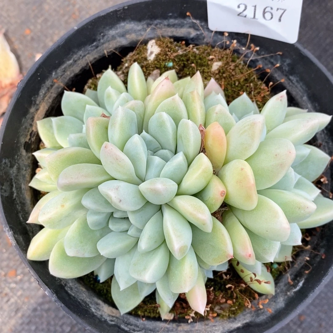 ?****^全场不包整散掉头2167