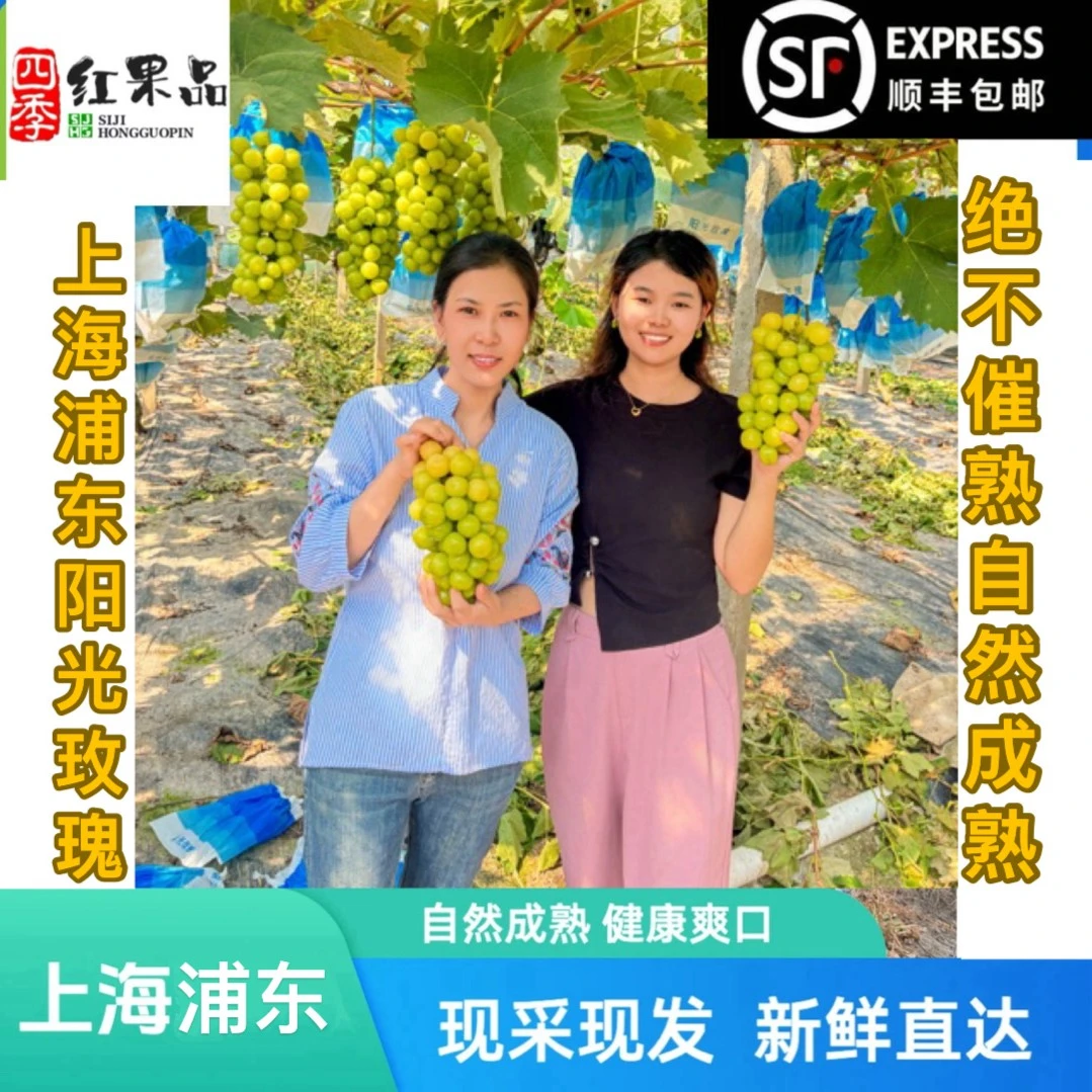 中果【净果拍3斤送2斤】上海阳光玫瑰晴王现摘顺丰包邮