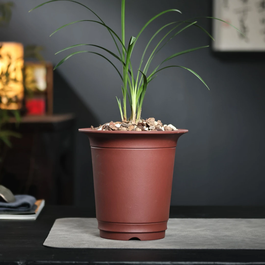 兰亭老紫茄泥手工紫砂兰花盆君子兰蝴蝶兰盆景盆春兰建兰专用盆