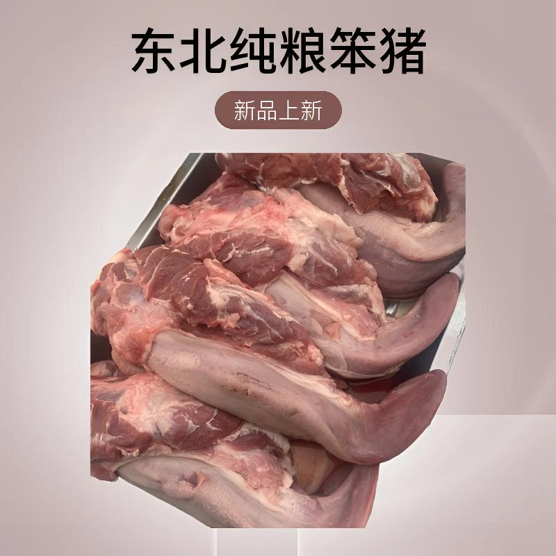 猪舌头-东北笨猪口条生鲜新鲜鲜冻发货