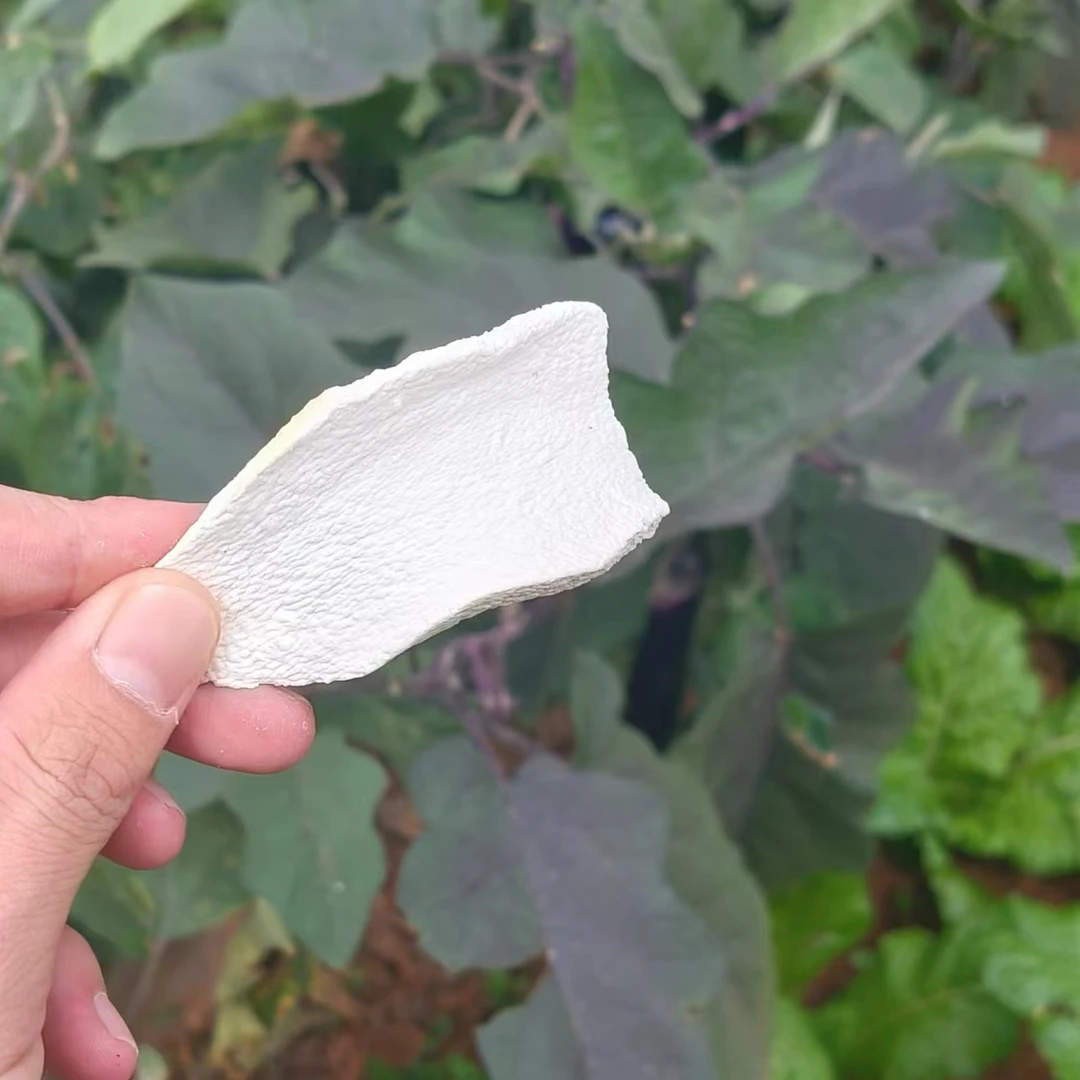 精品淮山药-【净含量】500g