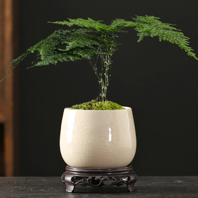 哥窑多肉蝴蝶兰专用花盆带托盘特价陶瓷简约吊兰绿植兰花小盆茵迈