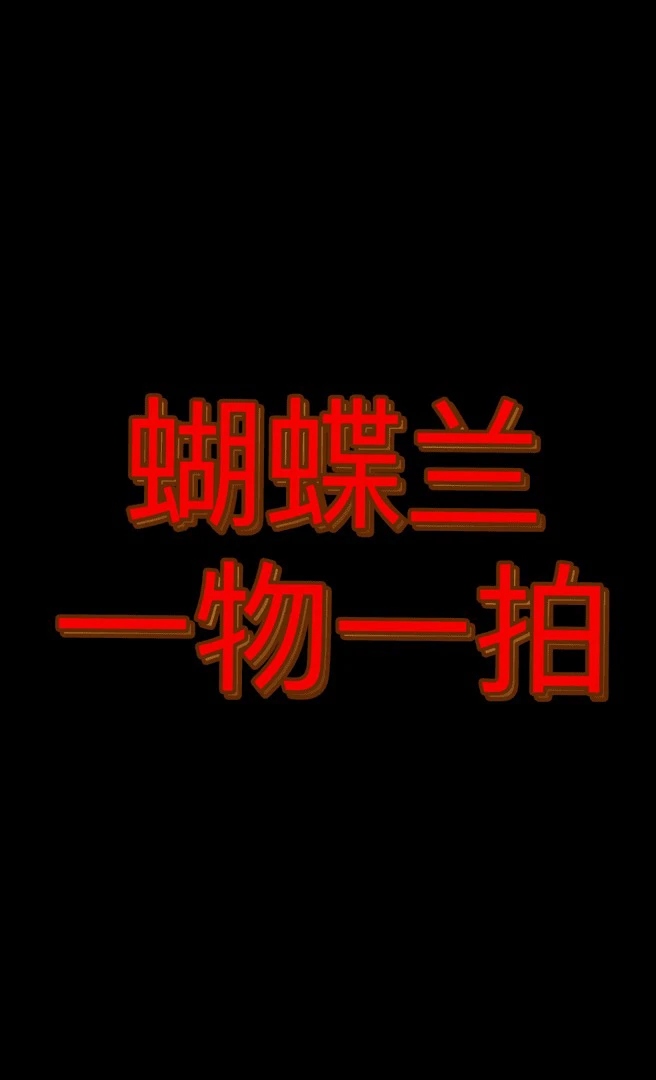 蝴蝶兰——一物一拍（看好下单 ）