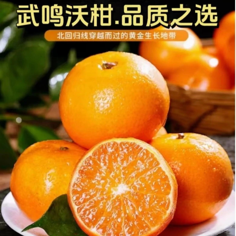 【精品送礼】正宗广西武鸣沃柑当季新鲜果园采摘现发5/8斤