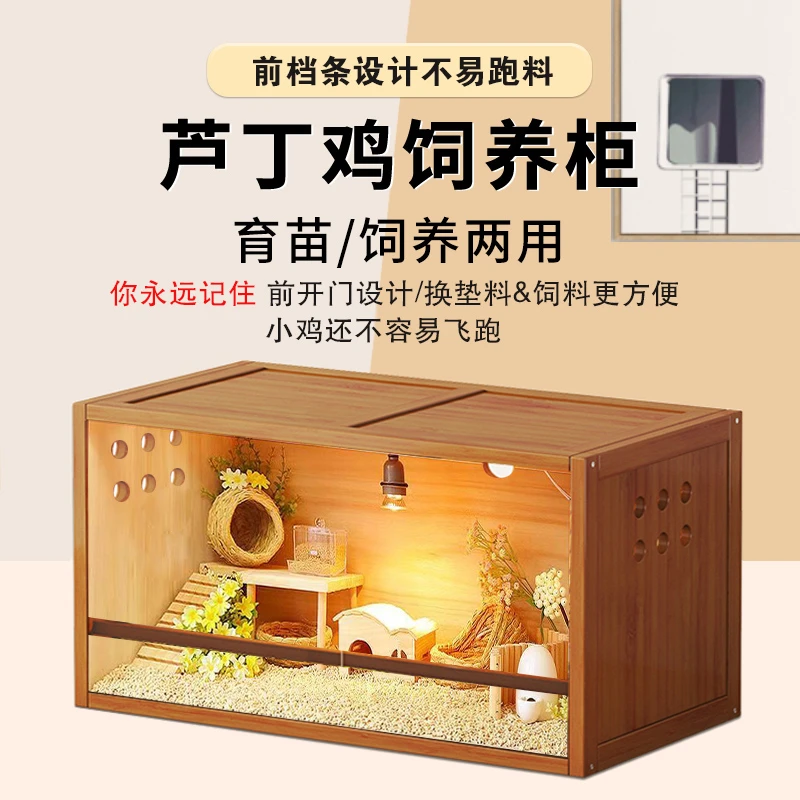 多层饲养箱小芦丁鸡保温育雏箱爬宠守宫鹦鹉饲养柜透明大号饲养箱