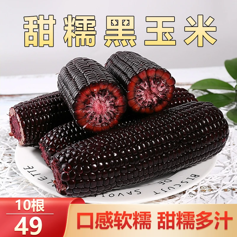 【直播！49元10根】东北特产黑玉米 软糯香甜 营养丰富 220g/根