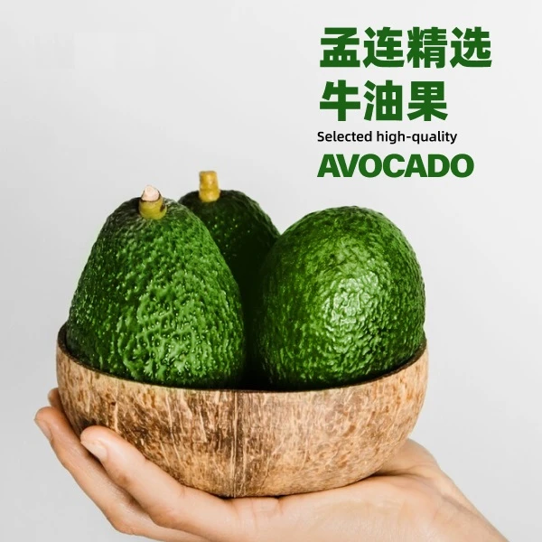 孟连哈斯牛油果(树熟)顶榴精选(60g-140g小果)产地采摘直发(鳄梨)