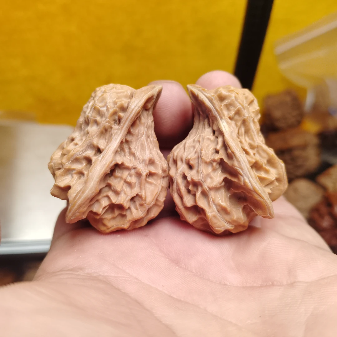 盘山公子帽，小鸟核桃