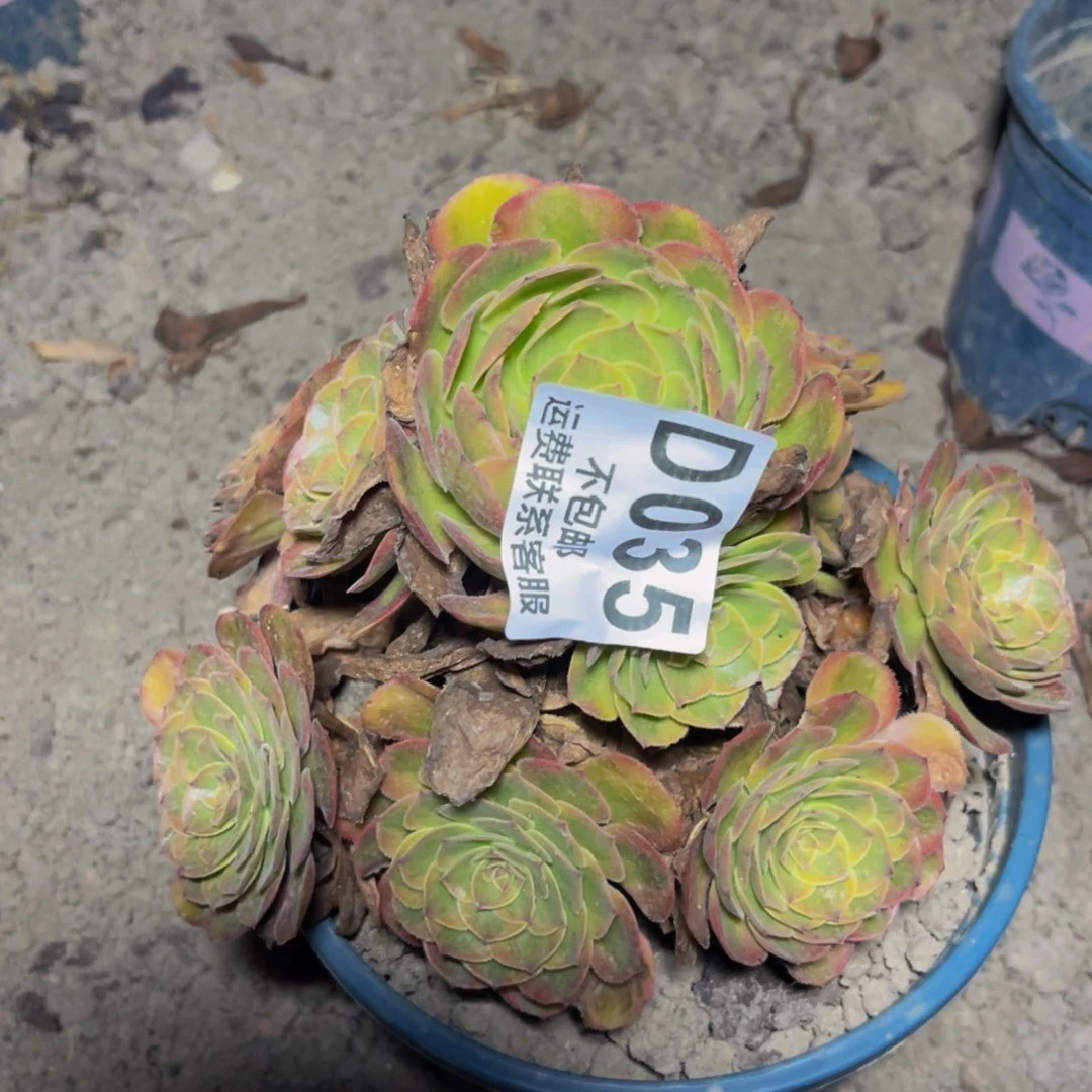 火狐法师16-49不包邮