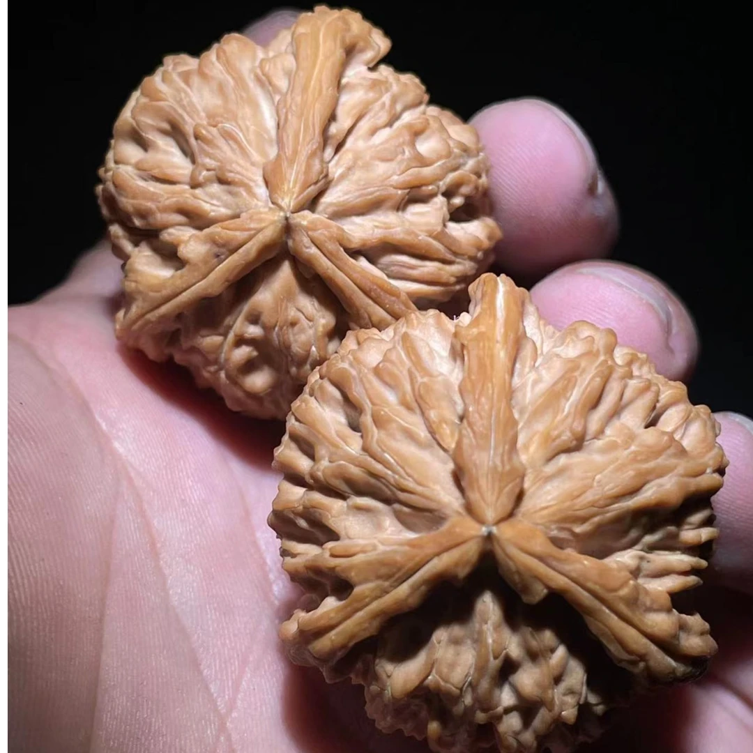 精品文玩核桃狮子头直播间下单链接