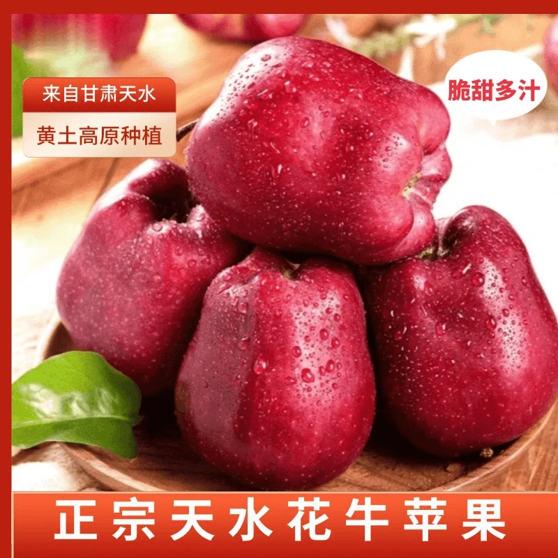 【首播福利】甘肃天水花牛苹果新鲜采摘脆粉两吃高原果园直发现采