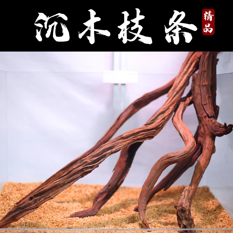 爬宠攀爬沉木枝条紫柚木南美缸造景鱼缸装饰躲避多枝沉木造景