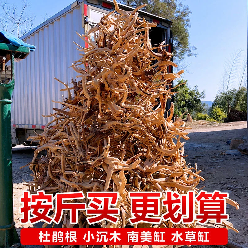 天然沉木杜鹃根泰国枝小树根按斤树形沉木巴西木鱼缸装饰造景素材