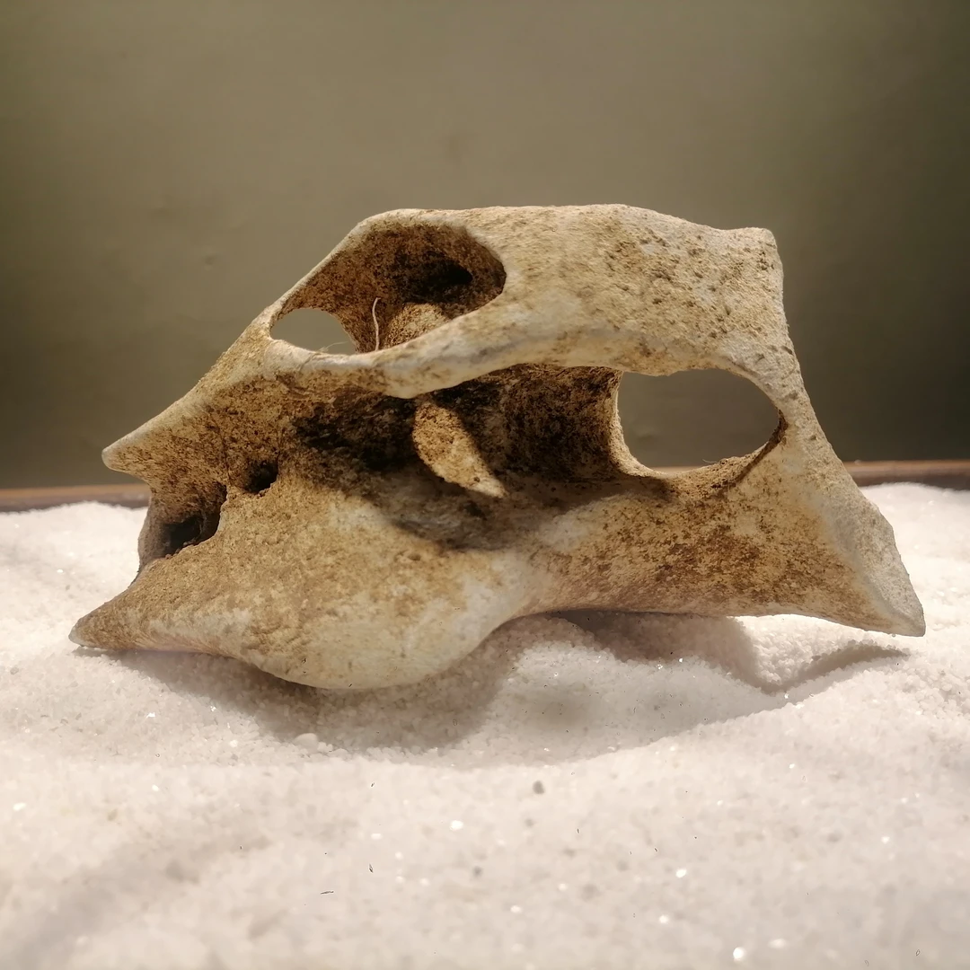 一线石农，天然奇石，太湖石，景观石，鱼缸石